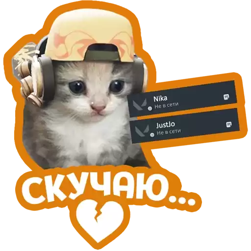 VALORANT_Universitycat