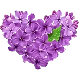 Valentinkiserdechki