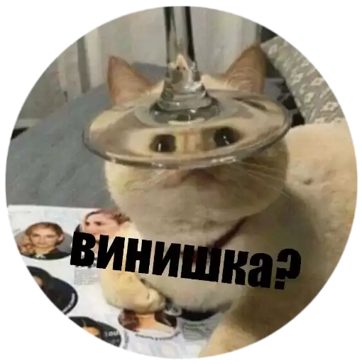 Vsratokota