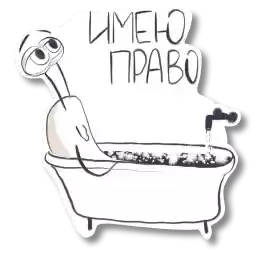 Vsvoemyme