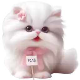 White_cat_so_sweet_Nyasticks