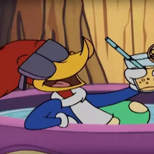 WoodpeckerWoody