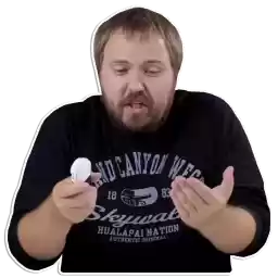 WylsaStickersE418