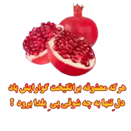 Yalda_delkadeh_nazi