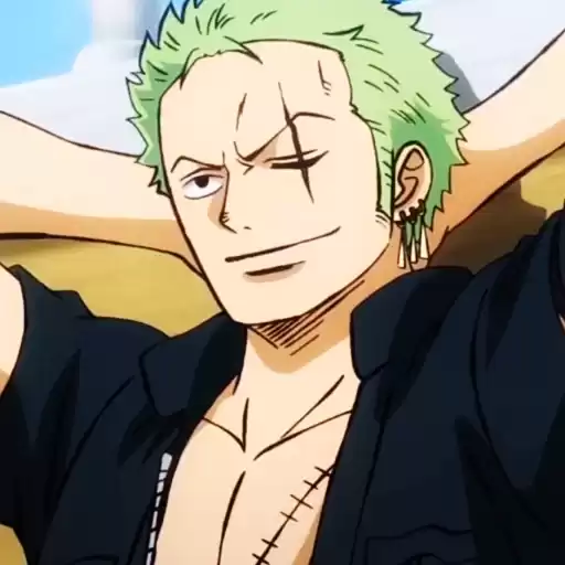 ZORO_DTRVS