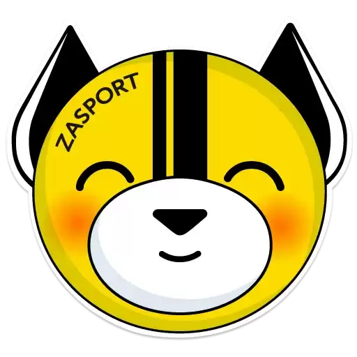 Zasport_Set