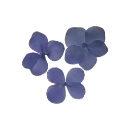 aesthetics_9wi_by_fStikBot