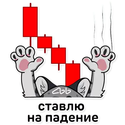 akbars_finance