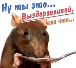 animalSmile