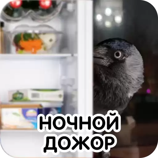 animalspar