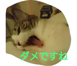 azuki