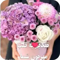 b68a6806a8646f_by_anipackbot