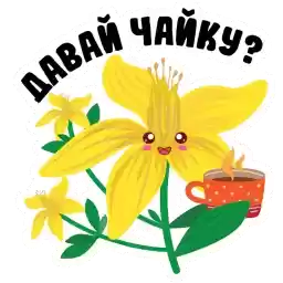 ba_flowers