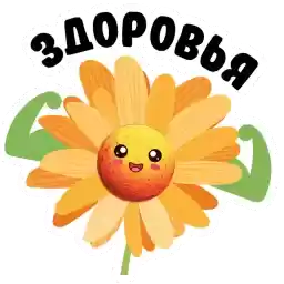 ba_flowers
