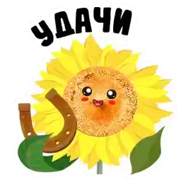ba_flowers