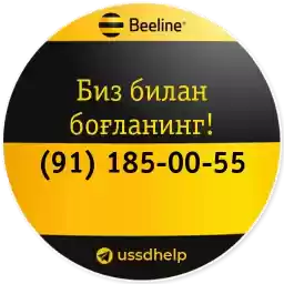 beelinehelp
