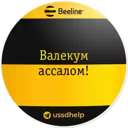 beelinehelp