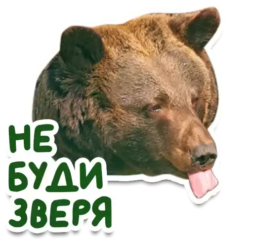 bel_zoo