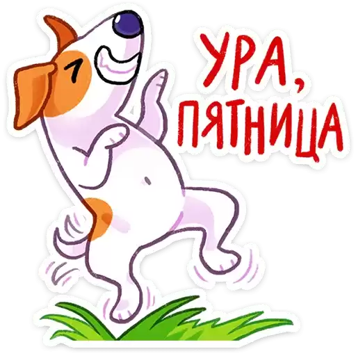 bert_dog_vk