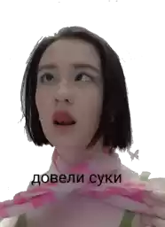 bestiality