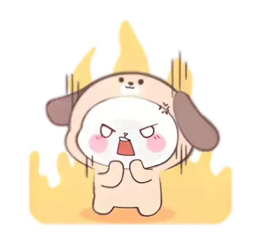 bingowex