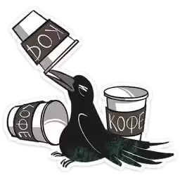 birdbrain_moe_vk