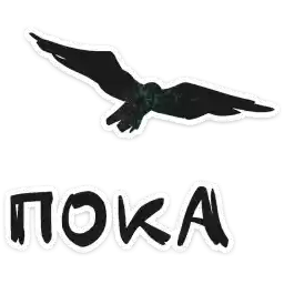 birdbrain_moe_vk