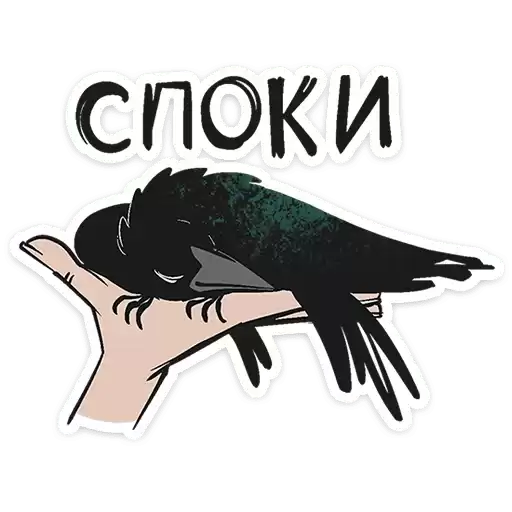 birdbrain_moe_vk
