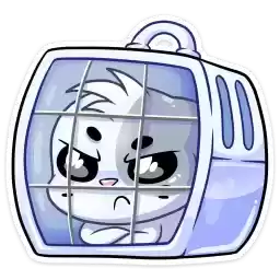 biscuit_vk