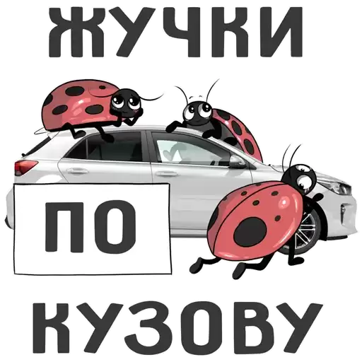 borauto_auction