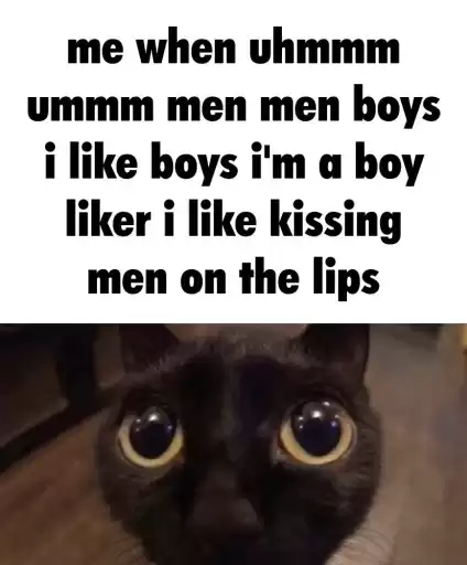 boykisser