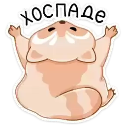 brody_vk