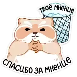 brody_vk