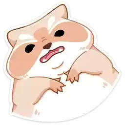 brody_vk
