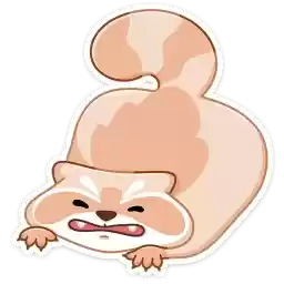 brody_vk