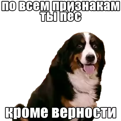 bukinione
