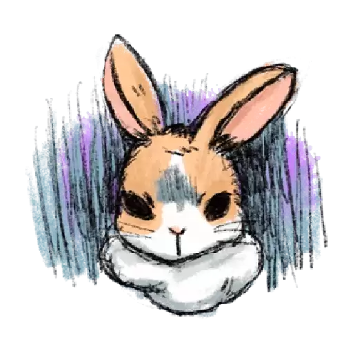 bunnynkplz