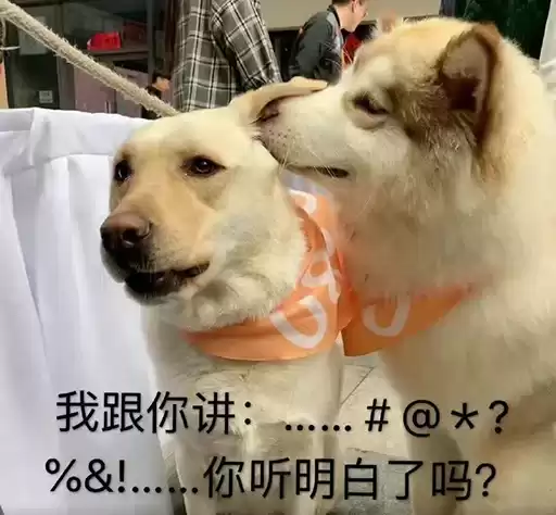 caiyilin33