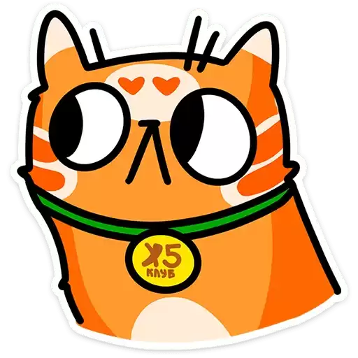 cashback_orange_cat