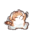 cat_R1N