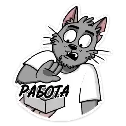 cat_stepan_vk