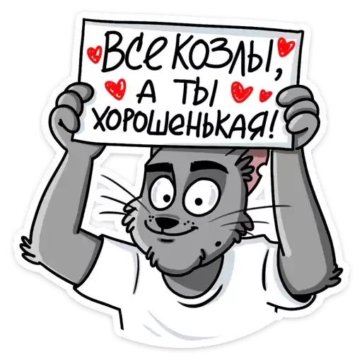 cat_stepan_vk