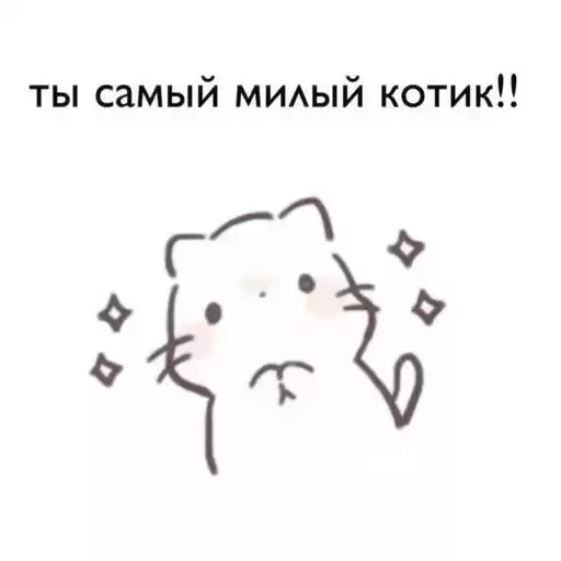 catcards