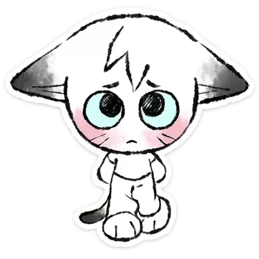 catmark_vk