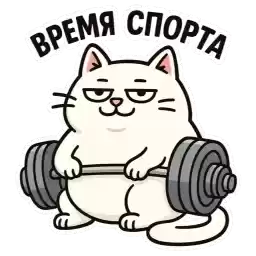 cats_mt