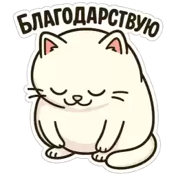 cats_mt