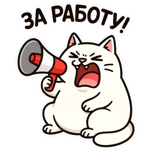 cats_mt