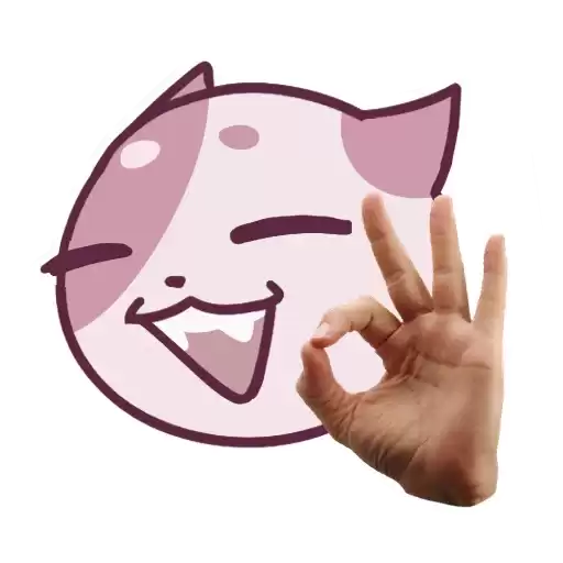 catsmotions