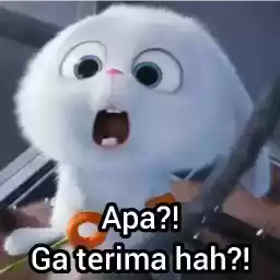 catuserbot_1202686986_100