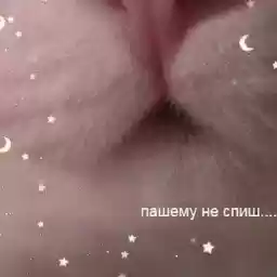 ccccccccccaaaaaaaaaatss